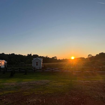 Luxury Riverfront Tiny House- Amazing Views- #111 Strawberry Plains Exterior foto